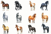Watercolor Horse Clipart, an Illustration by Designworld (Thumbnail 2 of 8)
