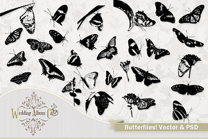 Butterflies! Vector Butterfly Art