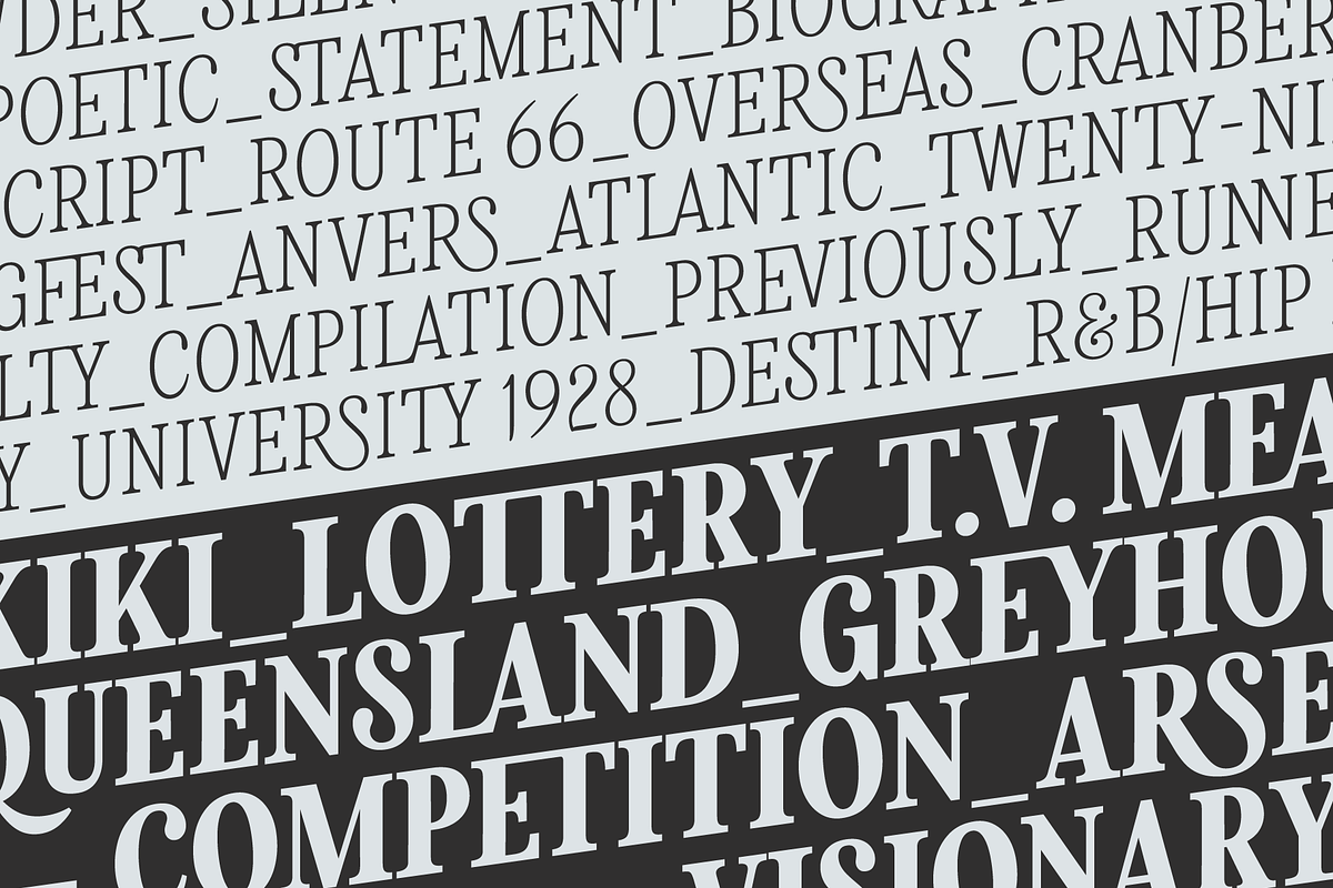 Levino Font Family, a Font by Punch (Photo 9 of 10)
