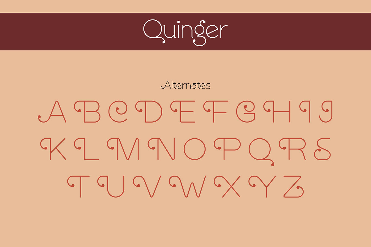 Quinger - Unique Sans Display, a Sans Serif Font by Almarkhatype (Photo 10 of 10)