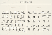 Magnola - Elegant Modern Serif, a Serif Font by Font Liner (Thumbnail 11 of 11)