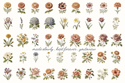 Vintage Botanical Flowers, a Decorative Illustration by youtoview (Thumbnail 3 of 14)