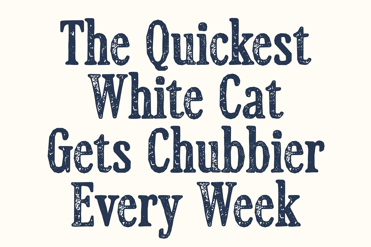 CS Miguela Stamp, a Serif Font by Craft Supply Co. (Photo 2 of 8)