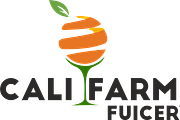 Orange Logo Template, a Branding & Logo Template by Raj Shop (Thumbnail 6 of 6)