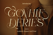 Govhie Deries Aesthetic Elegant, a Serif Font by Typetemp Studio (Thumbnail 1 of 11)