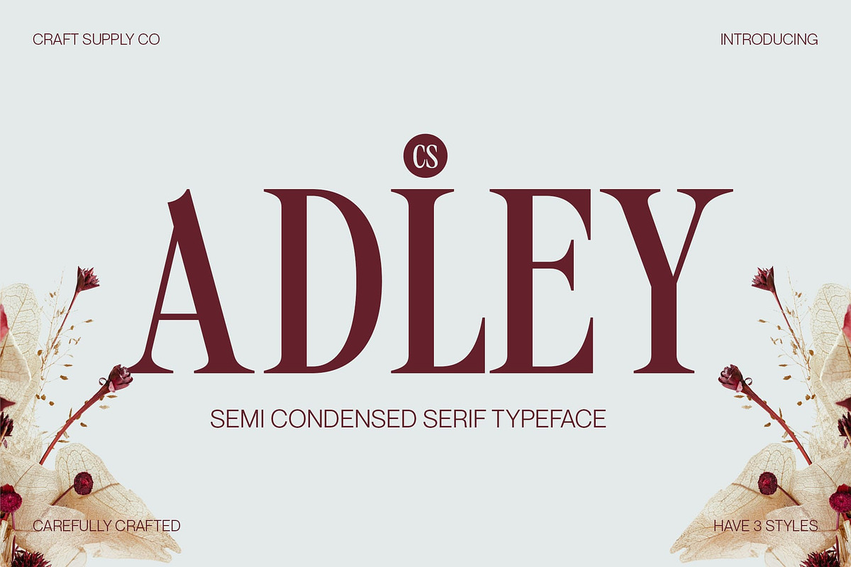 CS Adley – Elegant Font, a Serif Font by Craft Supply Co. (Photo 1 of 8)