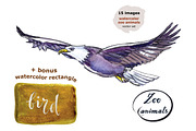 Watercolor zoo animals vector set, an Animal Illustration by miminoshka (Thumbnail 2 of 9)