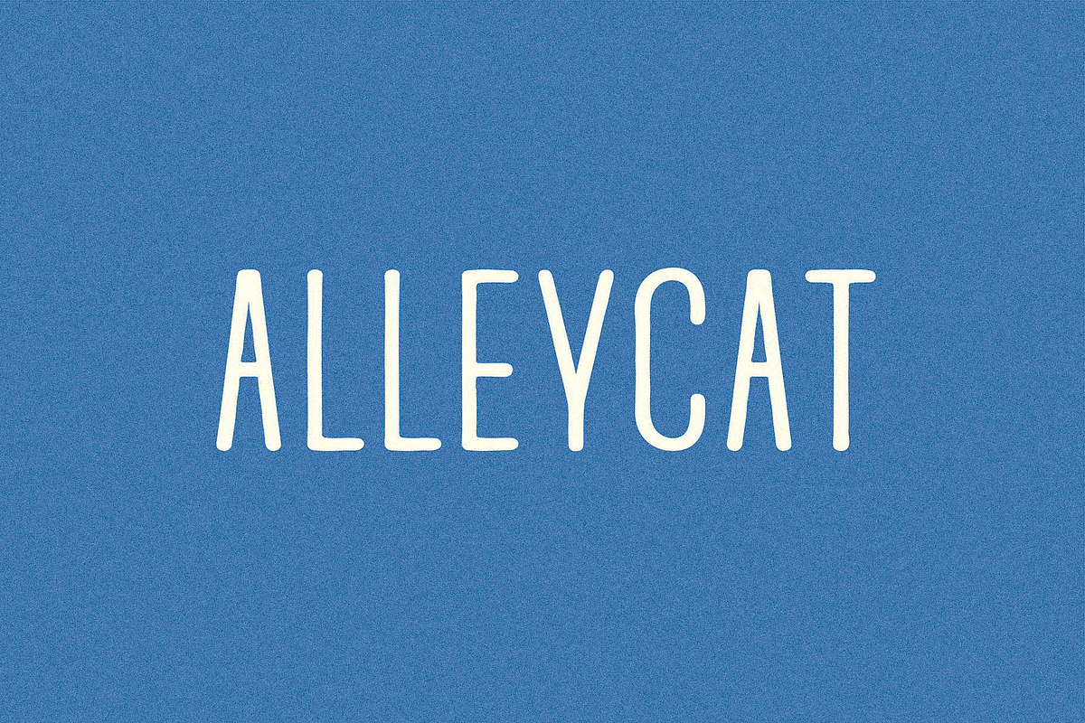 Alleycat I A Rounded Sans Serif Font, a Sans Serif Font by Taylor Penton (Photo 1 of 3)