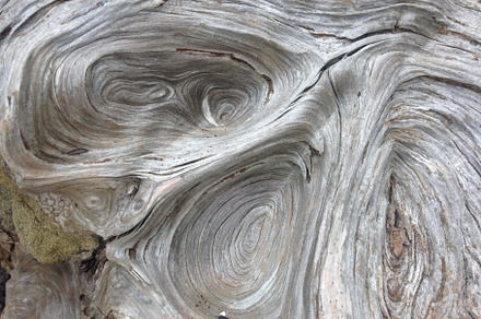 Driftwood, Bark, Pattern