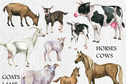 Watercolor Farm animals clipart, PNG, an Animal Illustration by PatternPalette (Thumbnail 3 of 5)