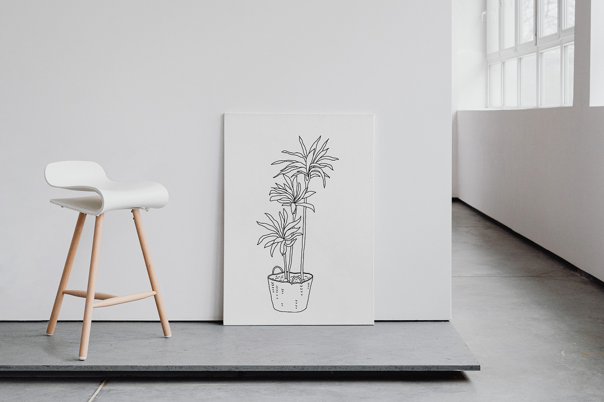House Plants. Vector illustrations, a Decorative Illustration by iri-illustration (Photo 6 of 9)