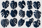 Dark Monstera leaves, an Illustration by Tanya Akhmett (Thumbnail 6 of 7)