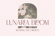 Latqira - Modern Elegant Luxury, a Serif Font by Qweera Studio (Thumbnail 6 of 12)