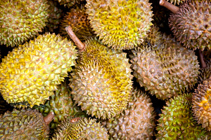 Jack Fruit, a Food & Drink Photo by THP Creative