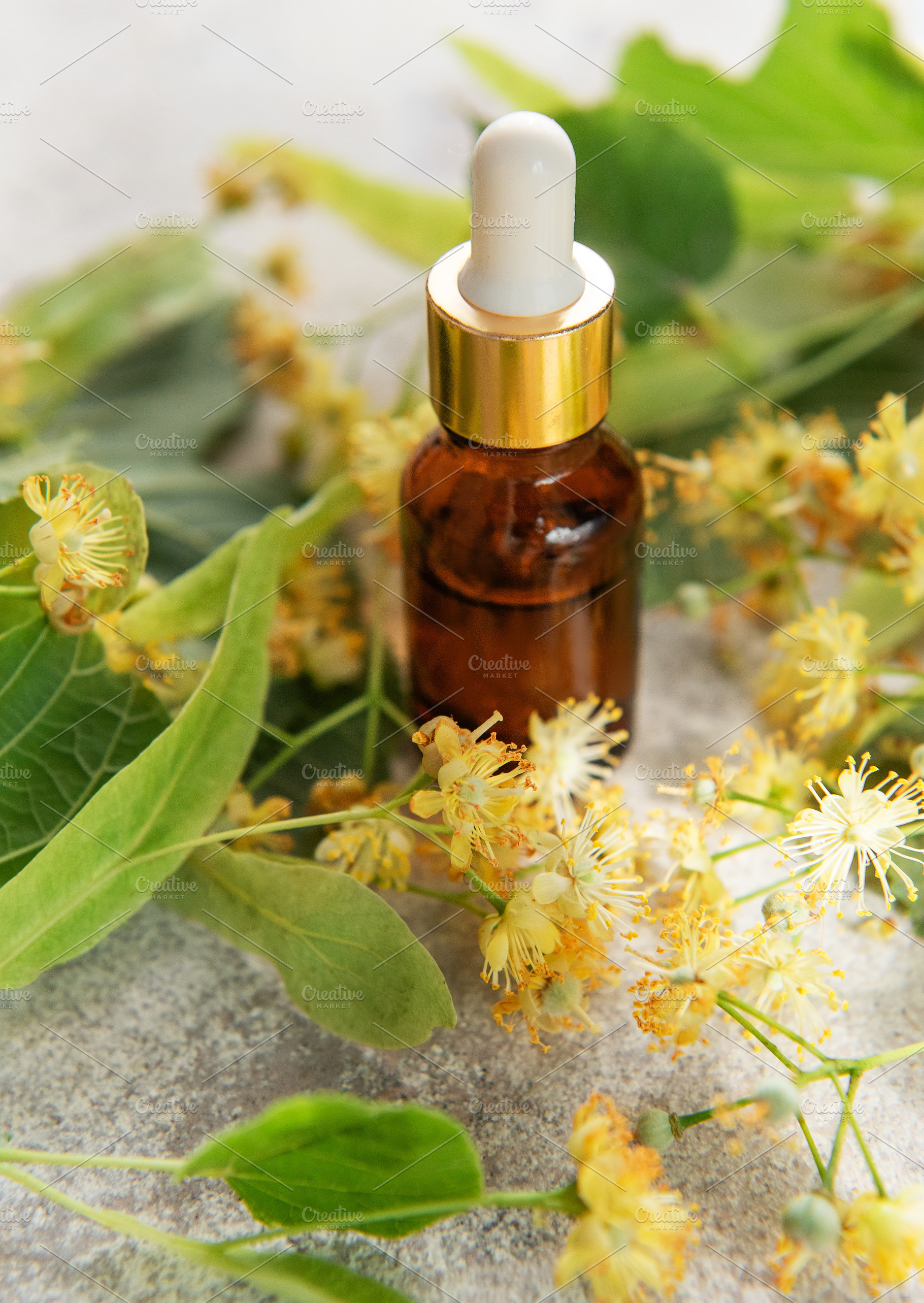 Linden essential oil in dropper bottle with fresh flowers, a Health & Medical Photo by Olena Rudo