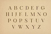 Fleurie | Modern Stylish, a Serif Font by Muntab_Art (Thumbnail 6 of 7)