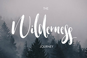 Warrenson Script Font, a Script Font by Creativeqube Design (Thumbnail 13 of 19)