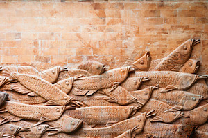 Carp wall