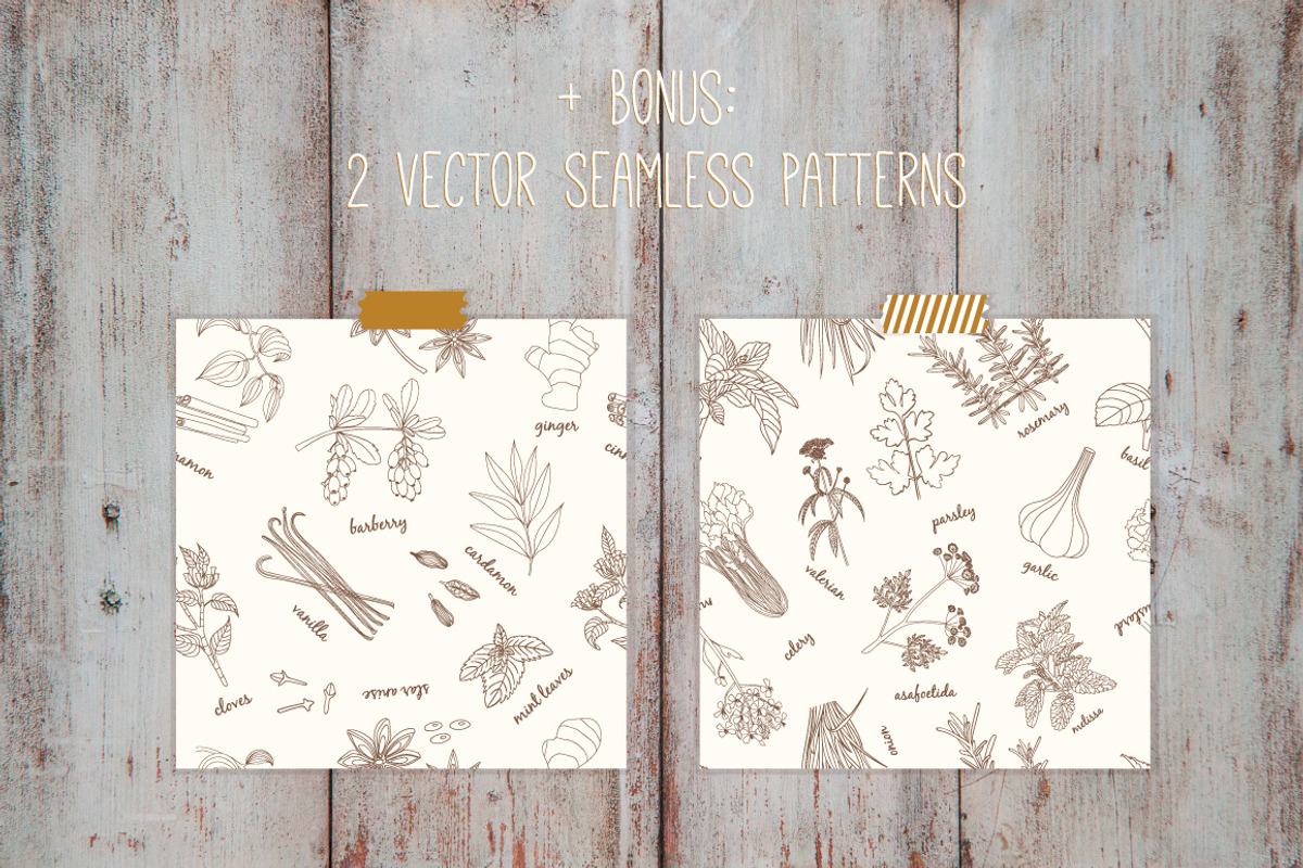 Herbs and spices collection, a Graphic by Tatti Graphic Studio (Photo 3 of 3)