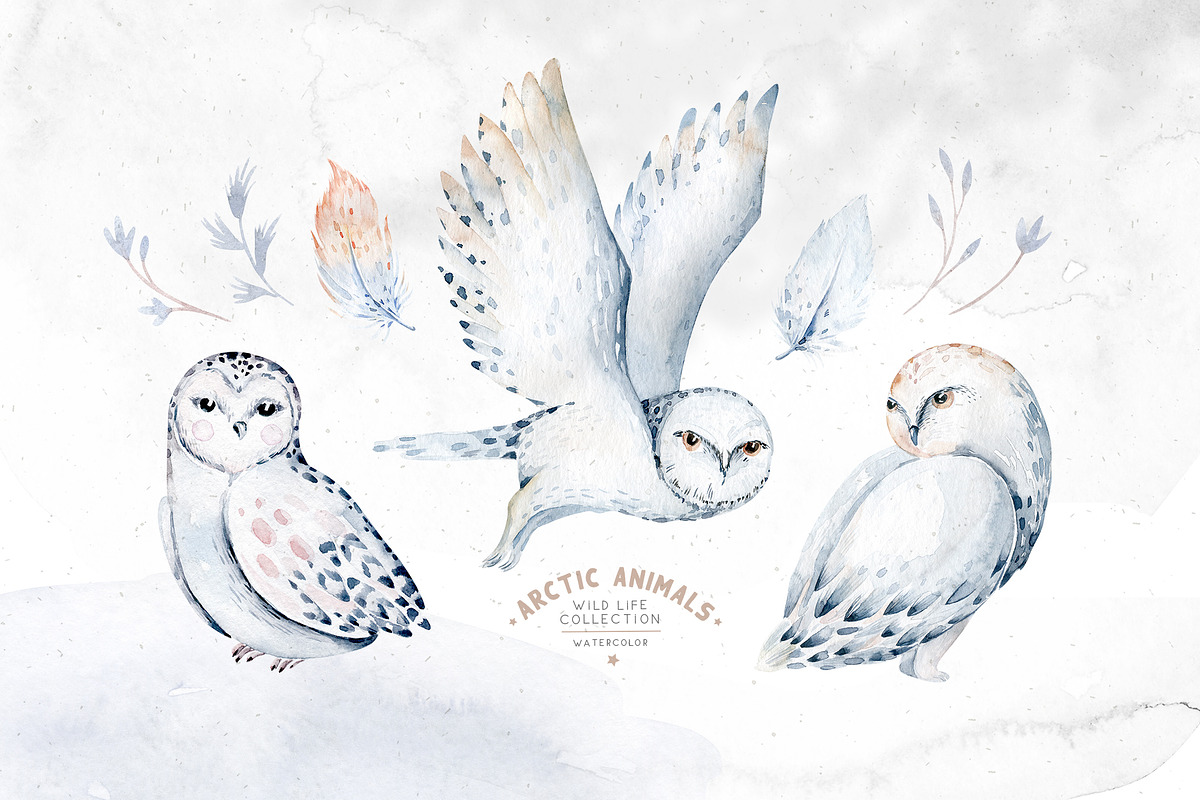Arctic cute animals.  Watercolor set, an Animal Illustration by Peace ART (Photo 3 of 22)