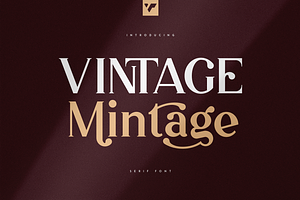 Vintage Mintage Creative Font