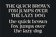 Qyore – Elegant Modern Serif, a Serif Font by Nollev (Thumbnail 7 of 9)