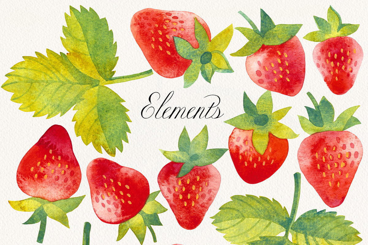 Fruit & Vegetable Watercolor Bundle, a Decorative Illustration by Olga Begak Art & Design (Photo 11 of 13)