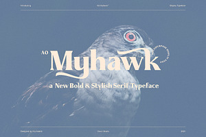 AO Myhawk - Display Typeface