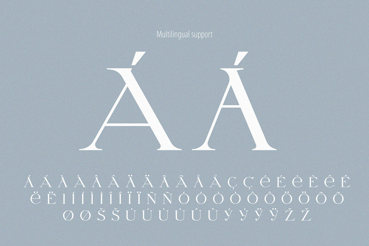Letterature ligature serif font, a Serif Font by kaer_shop (Photo 11 of 12)