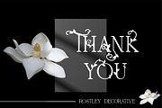 Rostley, a Serif Font by blunesia (Thumbnail 6 of 6)