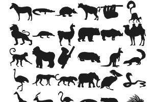 African Animals Outlines Silhouettes