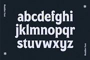 4 Fonts Combo, a Script Font by Kochev Type (Thumbnail 25 of 35)