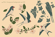 Vintage Apple Blossom & Swallows, a Pattern Graphic by PenguinArtStudio (Thumbnail 3 of 15)