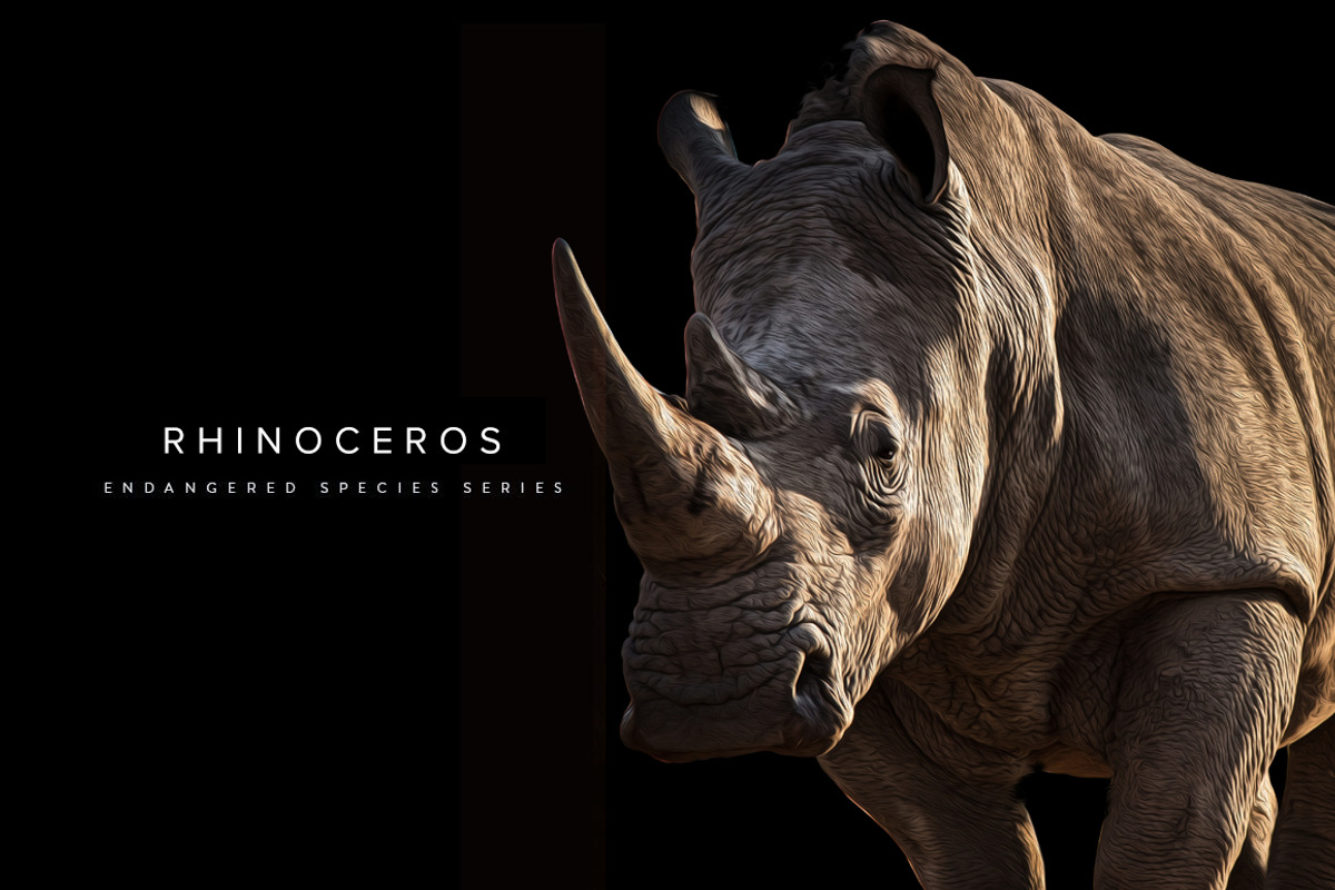Endangered Rhinoceros Illustration, an Animal Illustration by Digital Art Downloads (Photo 1 of 3)