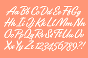 Poolside Brush Script, a Script Font by Fenotype (Thumbnail 7 of 14)
