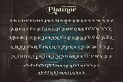 Platinor, a Serif Font by Larin Type Co. (Thumbnail 13 of 13)