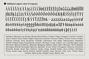 Rosseti - Elegant Retro Serif, a Serif Font by Sign Studio (Thumbnail 14 of 14)