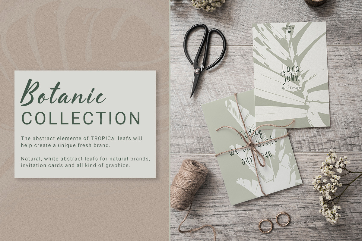 Abstract Botanic Collection, a Texture Graphic by Luna Sonego Design (Photo 4 of 7)
