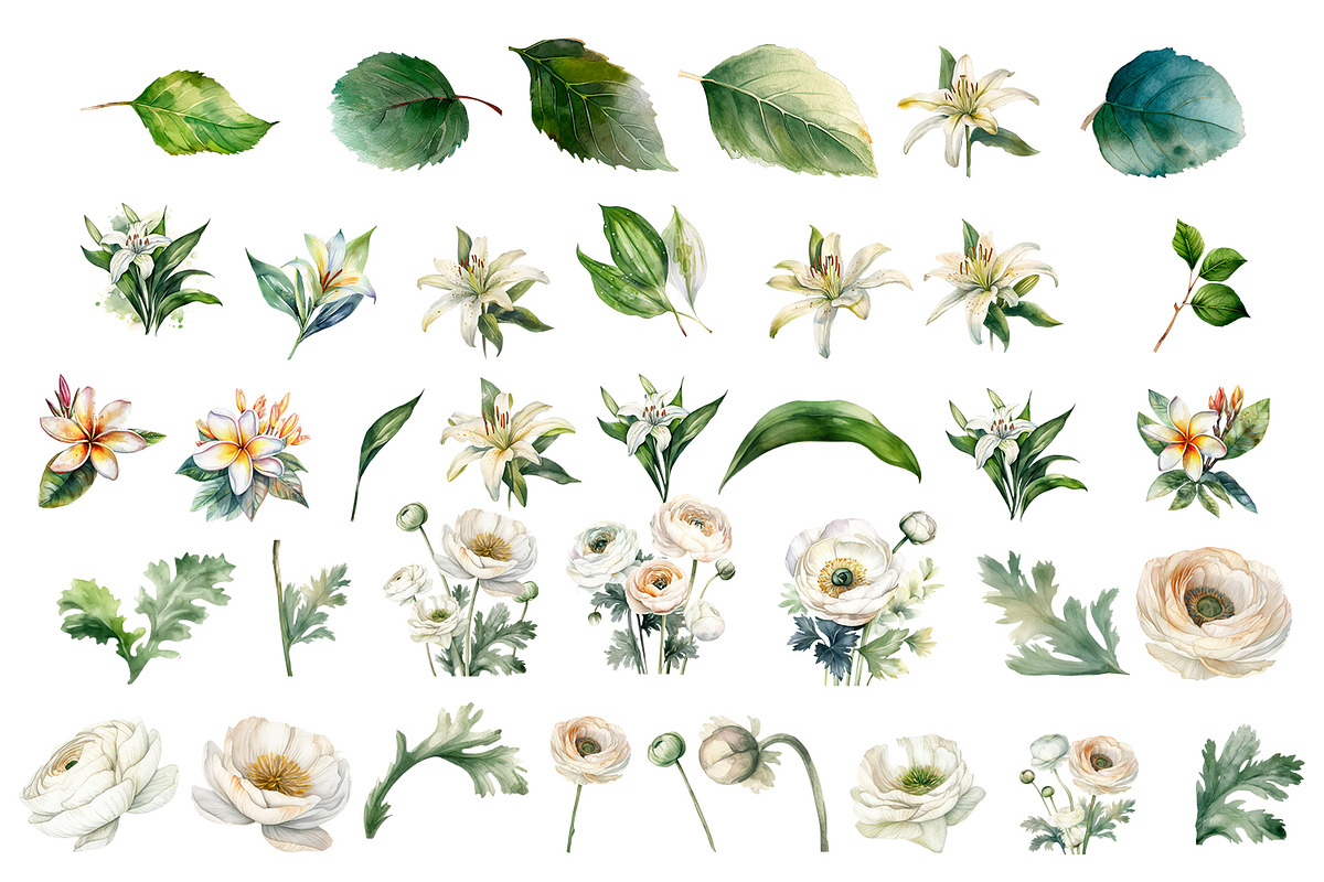 White flower. Watercolor clipart col, a Decorative Illustration by ElenazlataArt (Photo 2 of 9)
