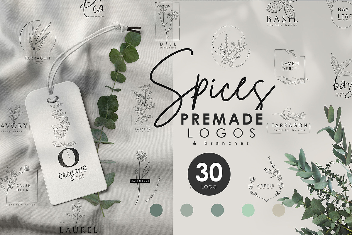 Spices. 30 Premade logos & branches, a Branding & Logo Template by Merfin (Photo 1 of 8)
