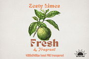 Vintage Fruits Sublimation Bundle, an Object Graphic by GlitterCraft (Thumbnail 21 of 21)