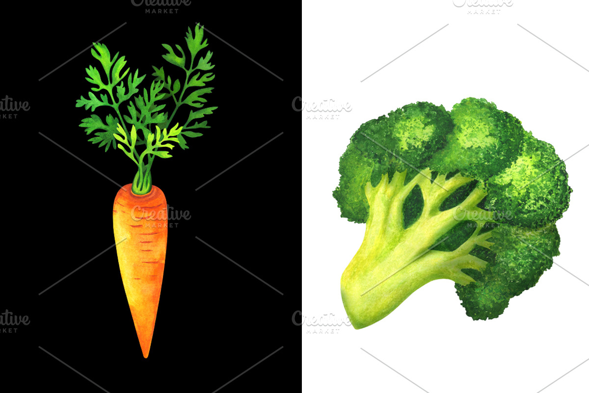 Watercolor set of vegetables, a Food Illustration by Color_Brush (Photo 2 of 7)