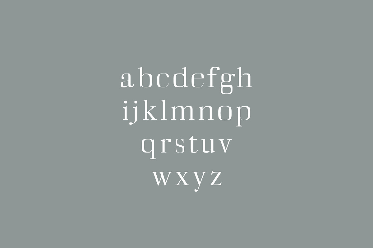 Deidra Serif Font Family Pack preview 3