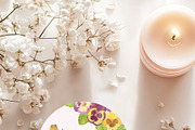 Pansy Watercolor Collection, a Decorative Illustration by Sunshine Art (Thumbnail 8 of 9)