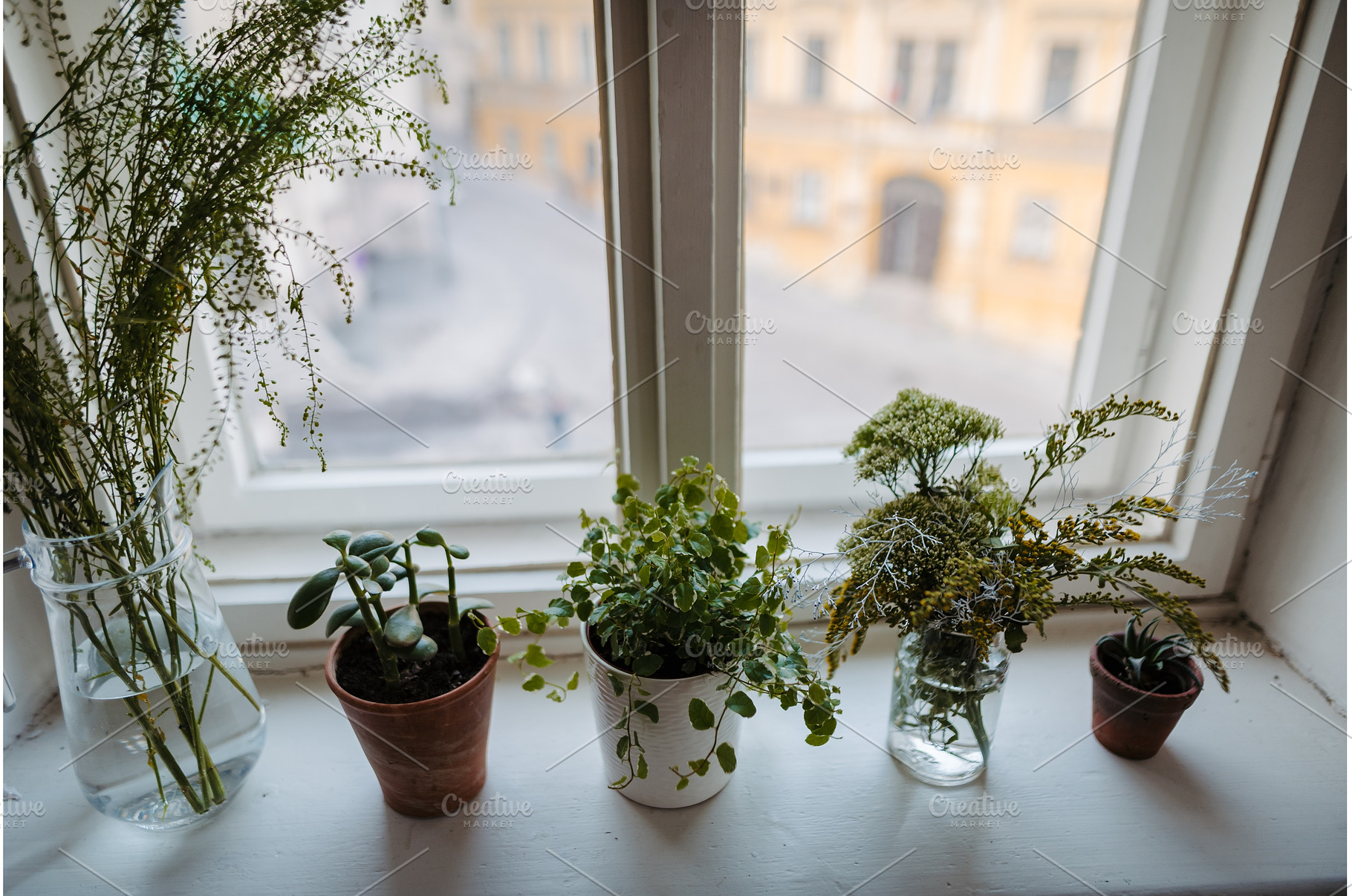 Potted plants and flowers on a, a Nature Photo by HalfPoint