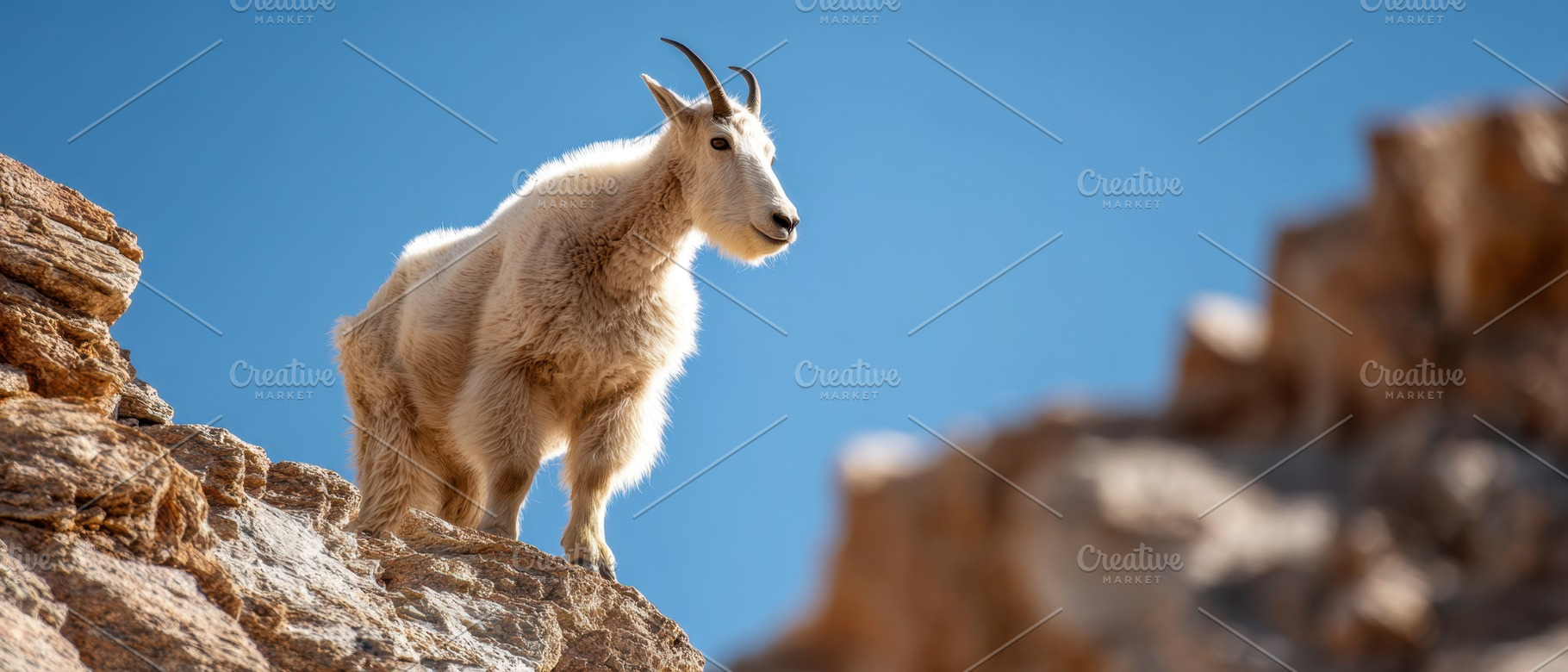 Majestic mountain goat on rocky ledge, an Animal Photo by AlyaAnd