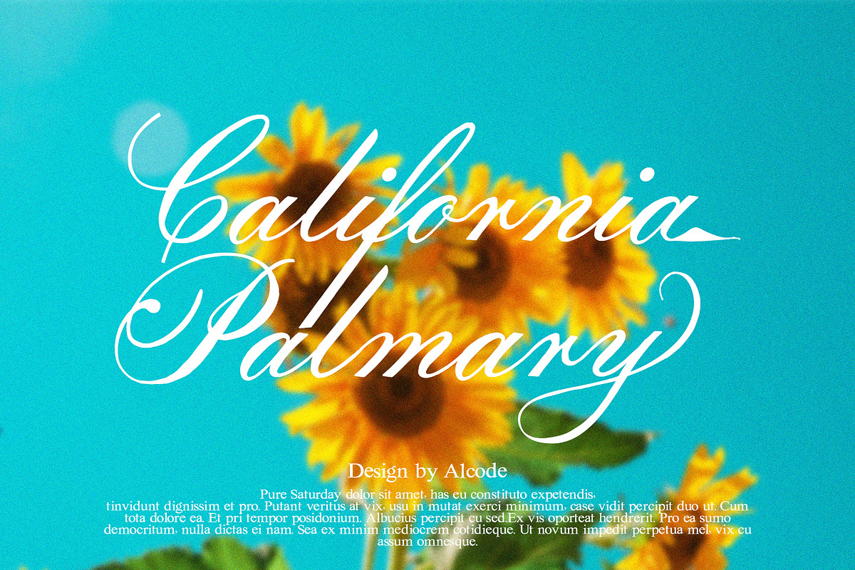 Pure Saturday - Font Duo, a Serif Font by Alcode (Photo 17 of 19)
