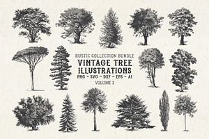 Vintage Tree Vector Bundle Vol. 2