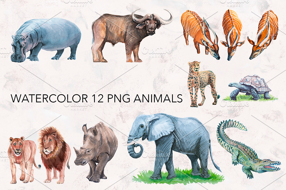 Watercolor Exotic Animals., an Animal Illustration by lilisavelieva (Photo 2 of 7)