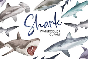 Watercolor Shark Clipart. Baby Shark